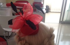 ����� ������� �INESBEAUTY� 