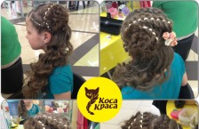 Студия экспресс плетения «Коса Краса»