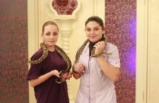 Салон красоты «Хабиби»